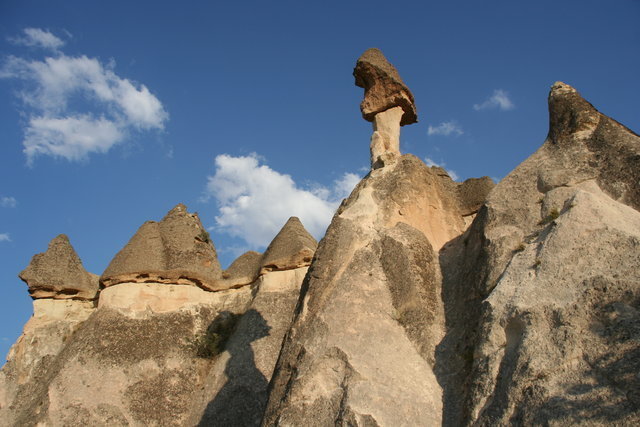 Img 0254