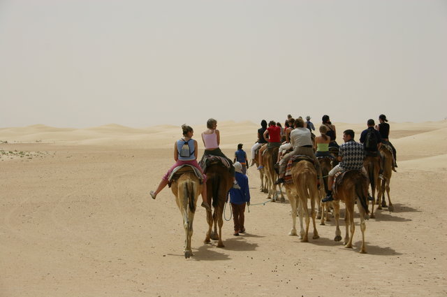 TUNEZJA,SAFARI