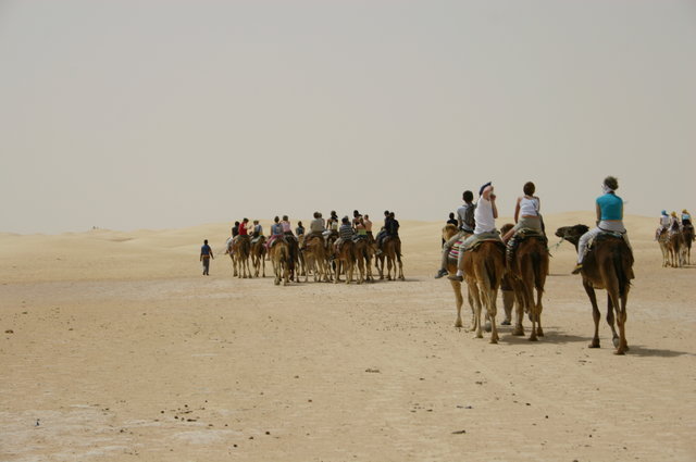 TUNEZJA,SAFARI