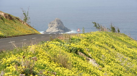 PORTUGALIA,WYSPA PORTO SANTO