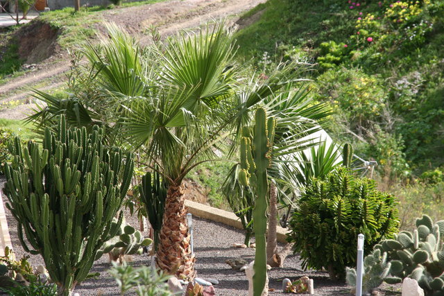 PORTUGALIA,WYSPA PORTO SANTO