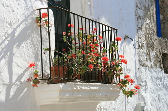 HISZPANIA,WYSPA IBIZA