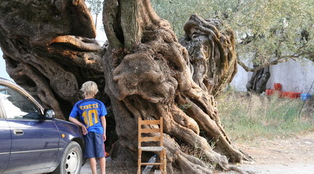 GRECJA-WYSPA ZAKYNTHOS