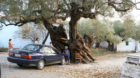 GRECJA-WYSPA ZAKYNTHOS