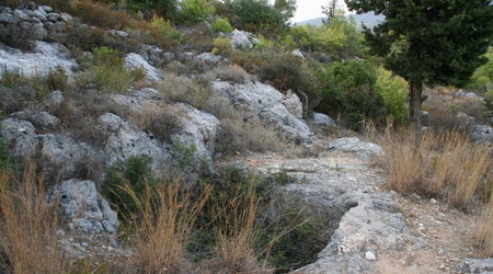 GRECJA-WYSPA ZAKYNTHOS