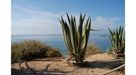 Praia da Rocha – Portugalia