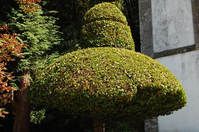 Bom Jesus