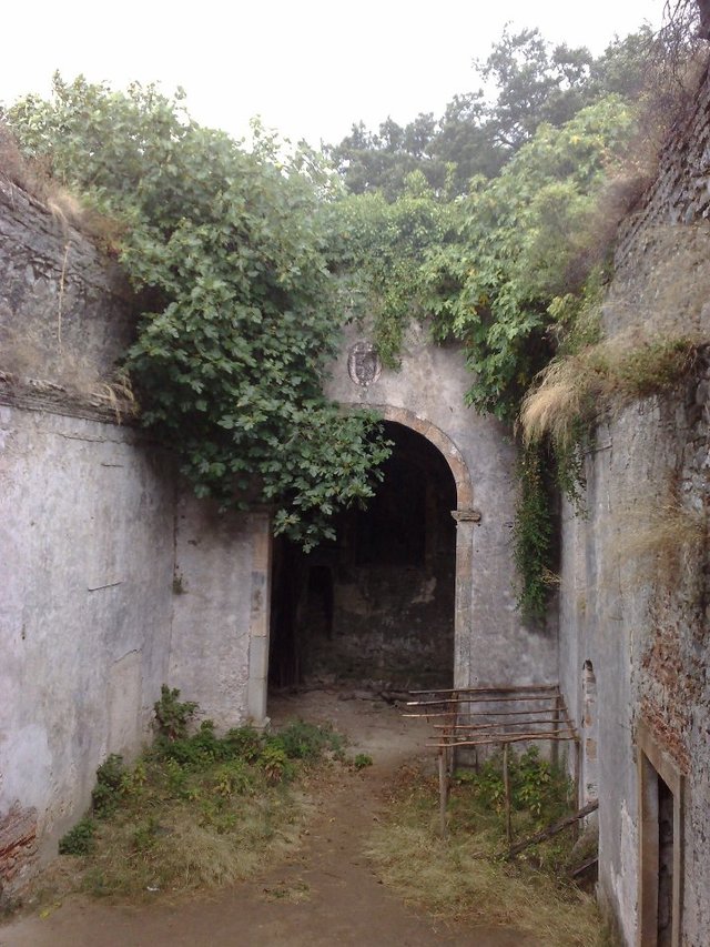 Monchique