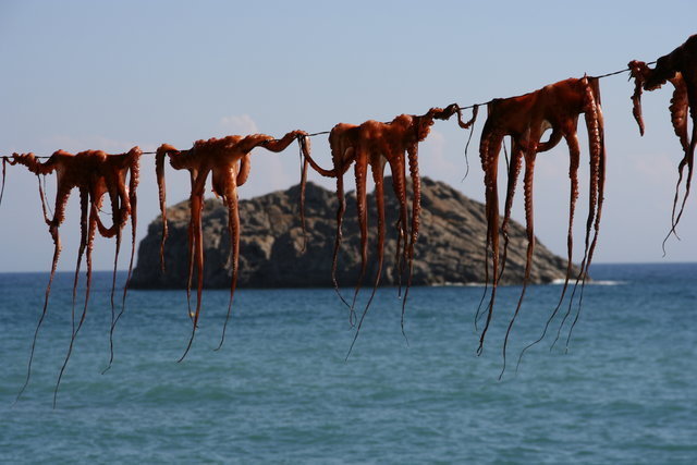 WYSPA LESBOS,GRECJA