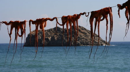WYSPA LESBOS,GRECJA
