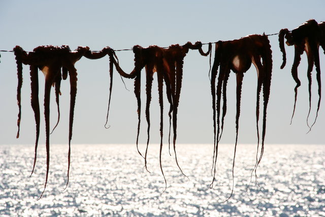 WYSPA LESBOS,GRECJA
