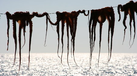 WYSPA LESBOS,GRECJA