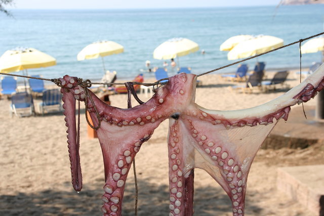 GRECJA,WYSPA LESBOS