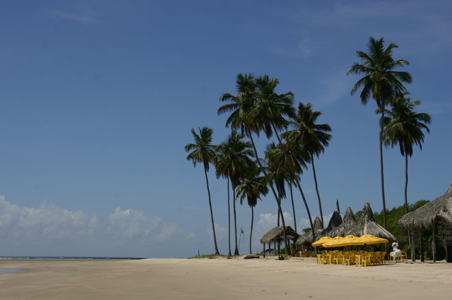 BRAZYLIA,PLAŻE PÓŁNOCY