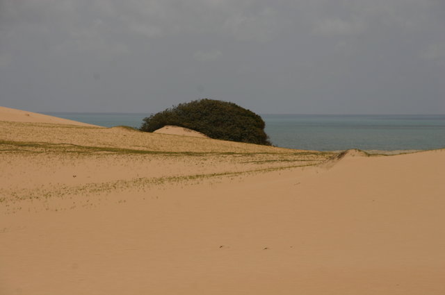 BRAZYLIA,CANOA OUEBRADA