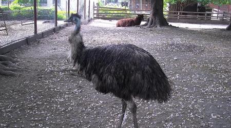 Moszna, mini zoo – Polska