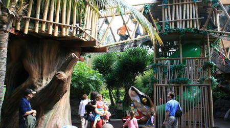 TENERYFA,LORO PARQUE – Hiszpania