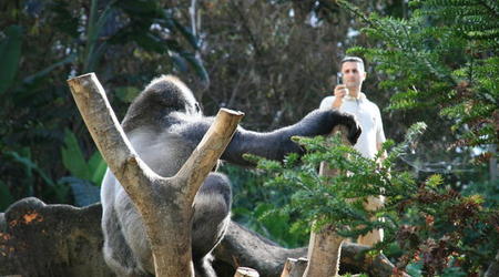 TENERYFA,LORO PARQUE – Hiszpania