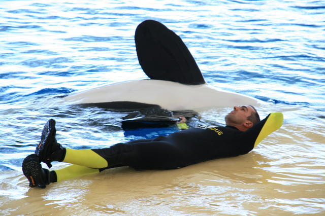 TENERYFA,LORO PARQUE