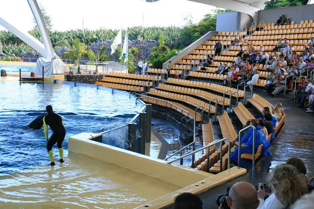 TENERYFA,LORO PARQUE