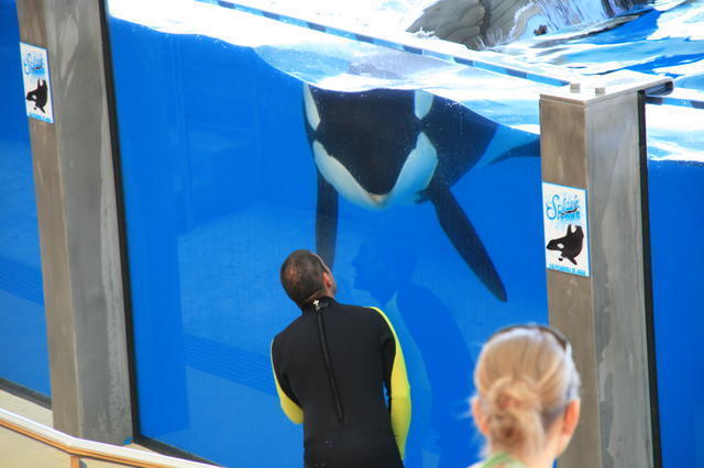 TENERYFA,LORO PARQUE
