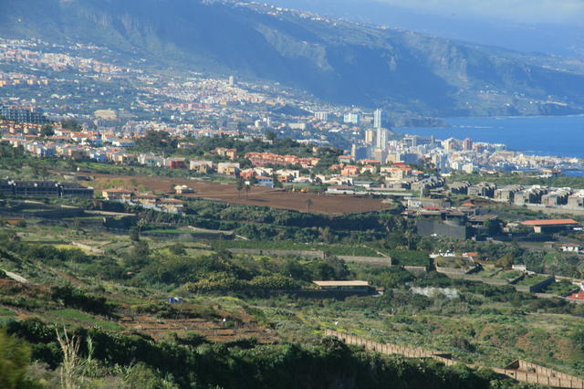 TENERYFA,LORO PARQUE