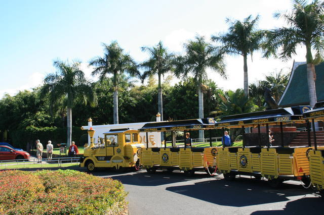 TENERYFA,LORO PARQUE
