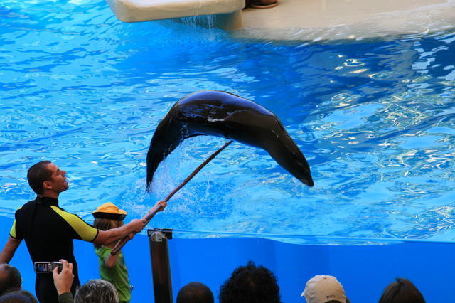 TENERYFA,LORO PARQUE