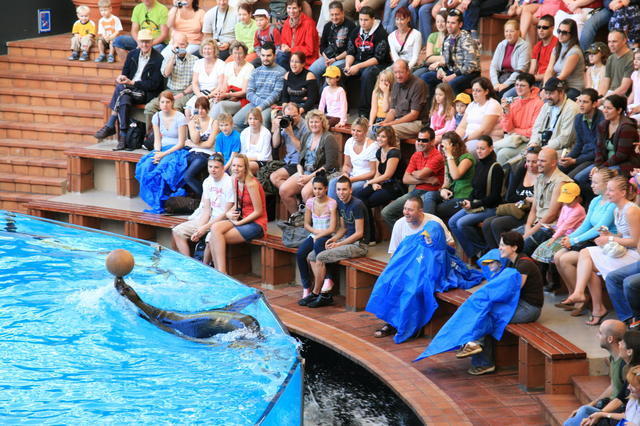 TENERYFA,LORO PARQUE