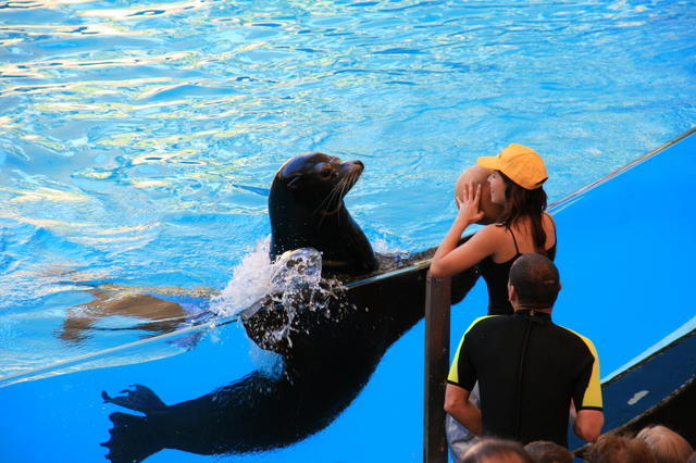 TENERYFA,LORO PARQUE