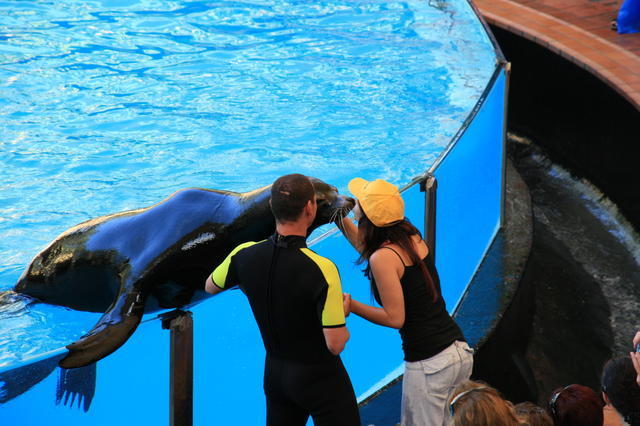 TENERYFA,LORO PARQUE
