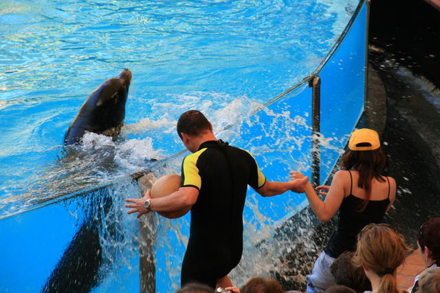 TENERYFA,LORO PARQUE