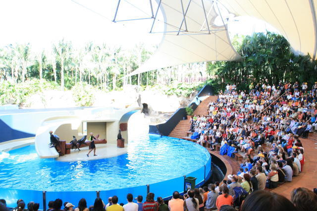 TENERYFA,LORO PARQUE
