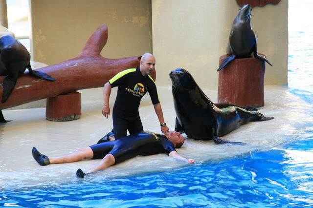 TENERYFA,LORO PARQUE