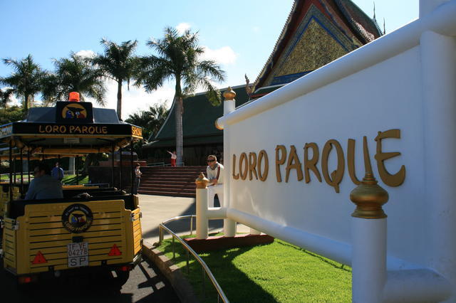 TENERYFA,LORO PARQUE