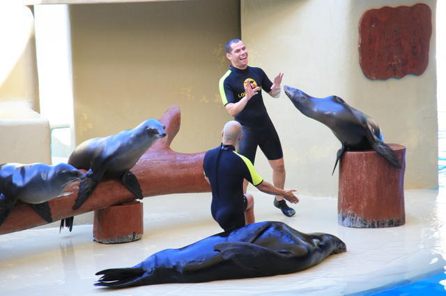 TENERYFA,LORO PARQUE