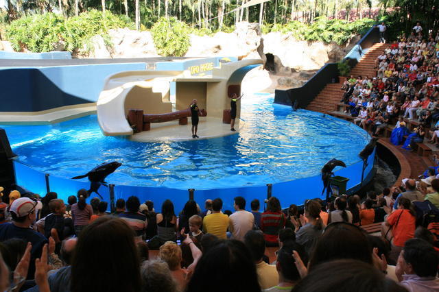 TENERYFA,LORO PARQUE