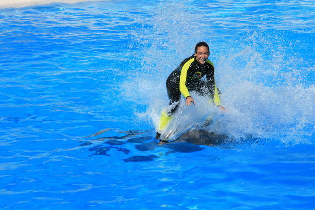 TENERYFA,LORO PARQUE