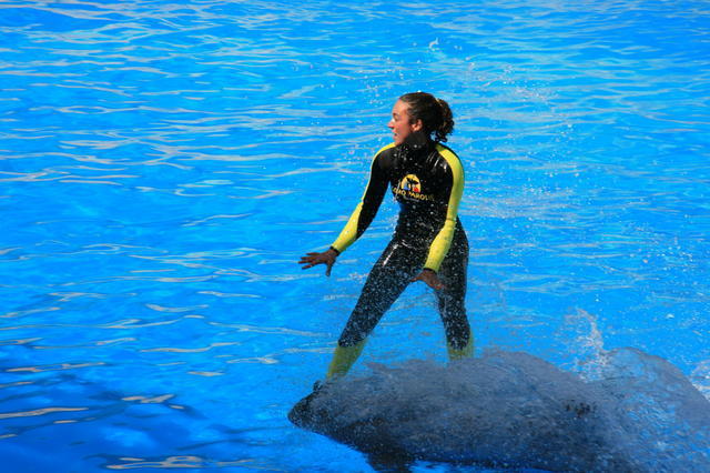 TENERYFA,LORO PARQUE