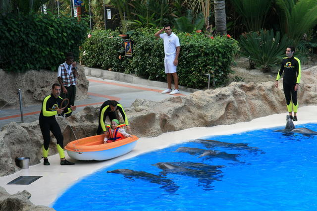 TENERYFA,LORO PARQUE