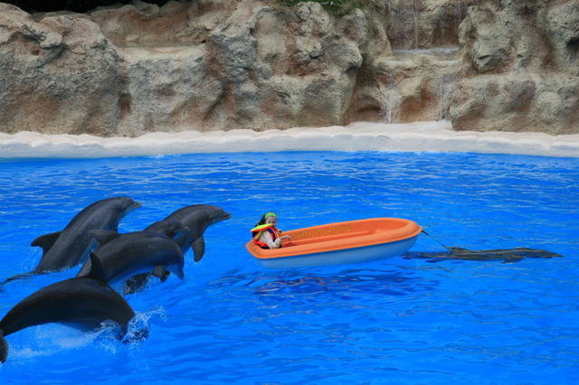 TENERYFA,LORO PARQUE