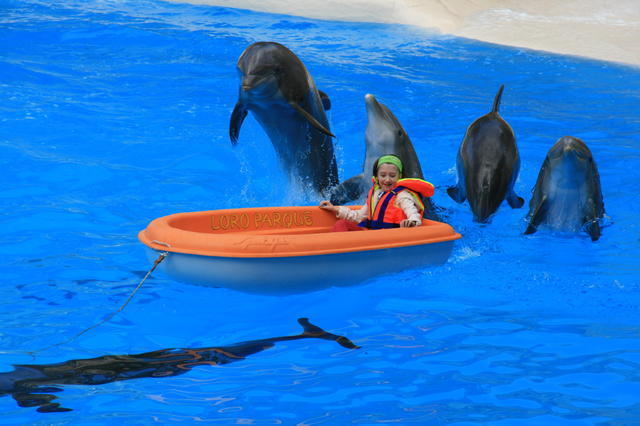 TENERYFA,LORO PARQUE