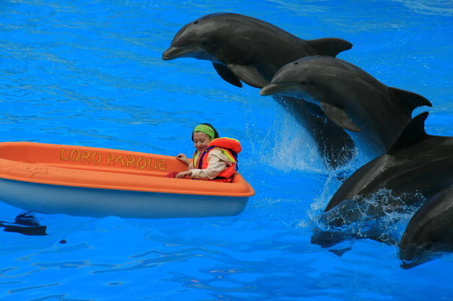 TENERYFA,LORO PARQUE