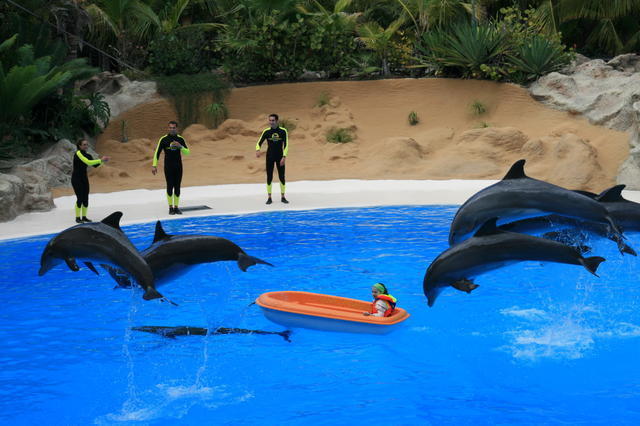 TENERYFA,LORO PARQUE