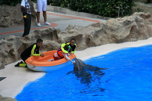 TENERYFA,LORO PARQUE