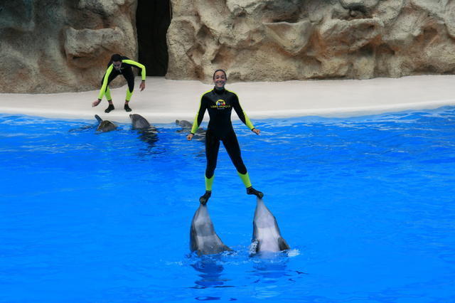 TENERYFA,LORO PARQUE