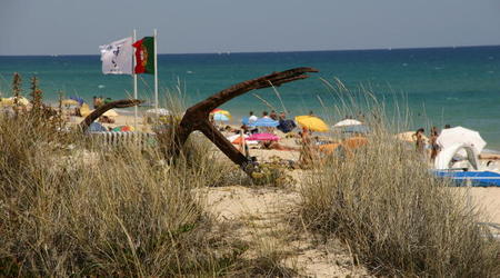 PORTUGALIA-ALGARVE-PARK RIA FORMOSA