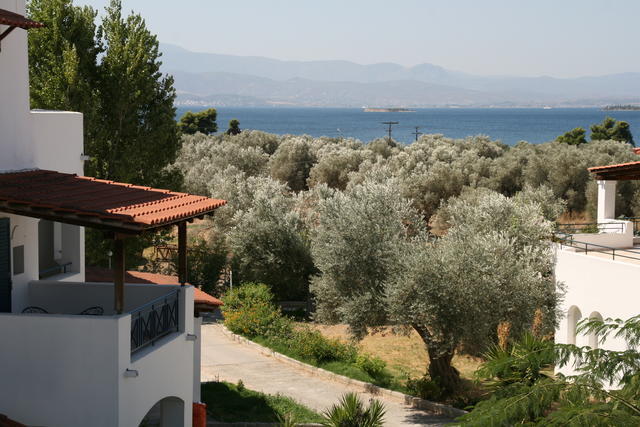 GRECJA,WYSPA EVIA-ANTYCZNA PANI