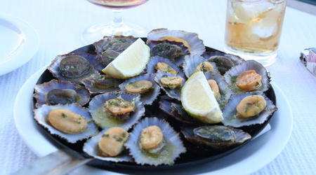 MADERA,FUNCHAL-FESTIWAL KWIATÓW – Portugalia