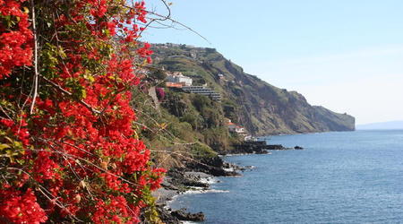 MADERA,FUNCHAL-FESTIWAL KWIATÓW – Portugalia